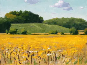 مزرعه-زرد---ابی-لوو