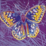 پروانه-خال-نقره-ای-سان-فرانسیسکو---اندی-وارهول