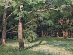 فضایی-در-جنگل---ایوان-شیشکین