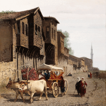 درشکه-چی---آکیله-فورمیس