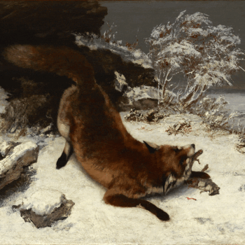 روباه-در-برف---گوستاو-کوربه