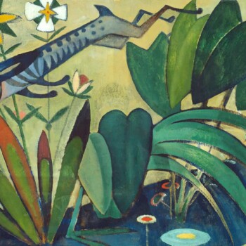 جهش-خرگوش---آماد‌ٰئو-دسوزا-کاردوسو