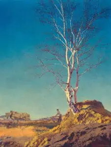 توس-سفید-–-ماکسفیلد-پریش