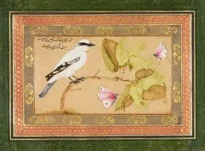 پرنده-سیاه-و-سفید-روی-درختچه---شفیع-عباسی