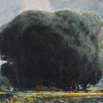 بدون عنوان شماره پنج – داوود امدادیان