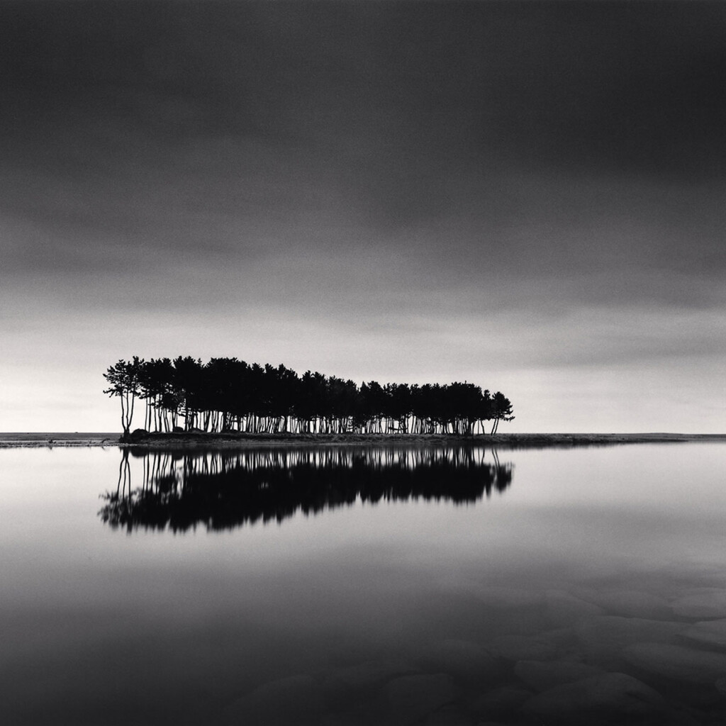 درختان-کاج---مایکل-کنا