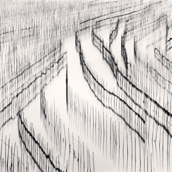 صفحه نخست- صفحه اصلی | چاپبو مزارع-جلبک-دریایی---مایکل-کنا