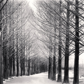 صفحه نخست- صفحه اصلی | چاپبو کوچه-درخت-ها---مایکل-کنا